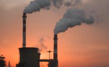 Environmental Toxins and Health: Practical Ways to Reduce Exposure